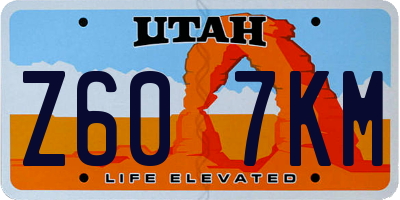 UT license plate Z607KM