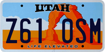 UT license plate Z610SM