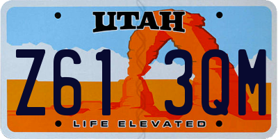 UT license plate Z613QM