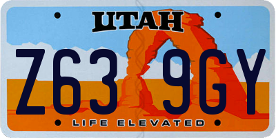 UT license plate Z639GY