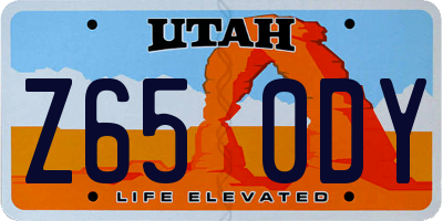 UT license plate Z650DY