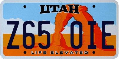 UT license plate Z650IE