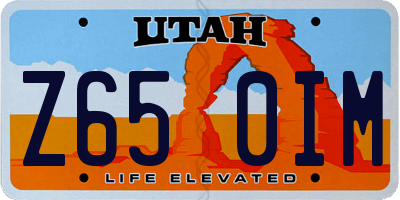 UT license plate Z650IM