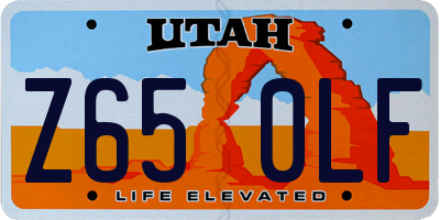 UT license plate Z650LF
