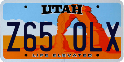 UT license plate Z650LX