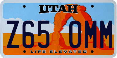 UT license plate Z650MM