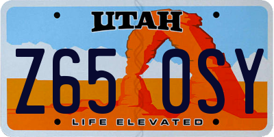 UT license plate Z650SY
