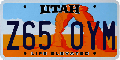 UT license plate Z650YM