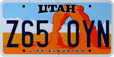 UT license plate Z650YN