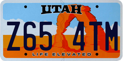 UT license plate Z654TM