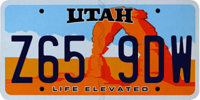 UT license plate Z659DW
