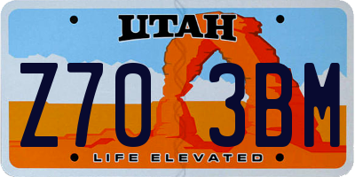 UT license plate Z703BM