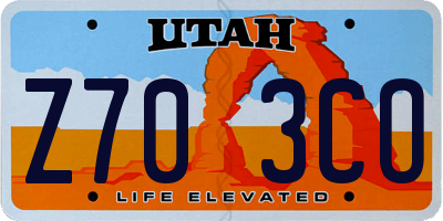 UT license plate Z703CO