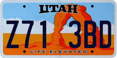 UT license plate Z713BD