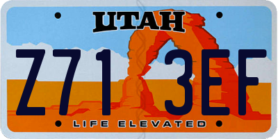UT license plate Z713EF