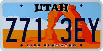 UT license plate Z713EY