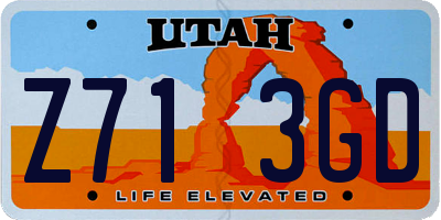UT license plate Z713GD