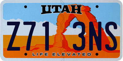 UT license plate Z713NS