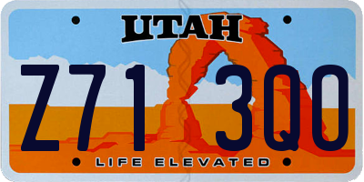 UT license plate Z713QO
