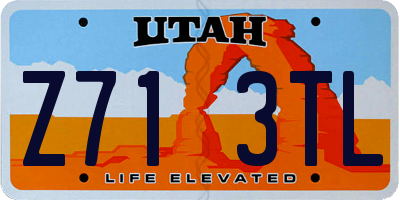 UT license plate Z713TL