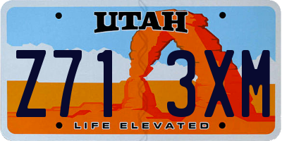 UT license plate Z713XM