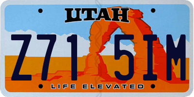 UT license plate Z715IM