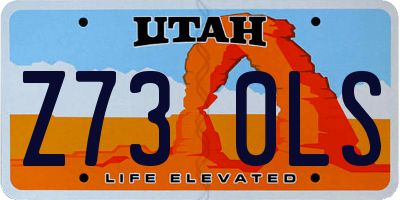 UT license plate Z730LS