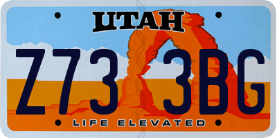 UT license plate Z733BG