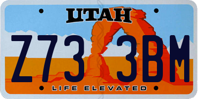 UT license plate Z733BM