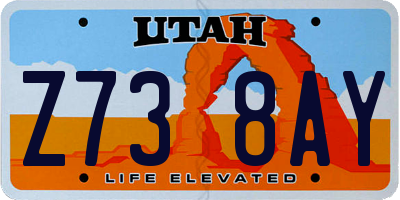 UT license plate Z738AY