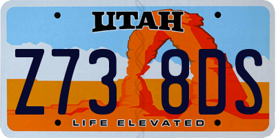 UT license plate Z738DS