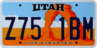 UT license plate Z751BM