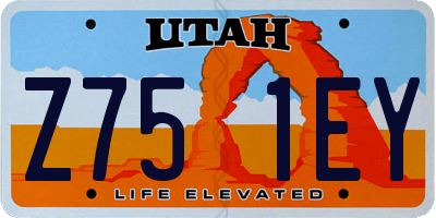 UT license plate Z751EY
