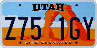 UT license plate Z751GY