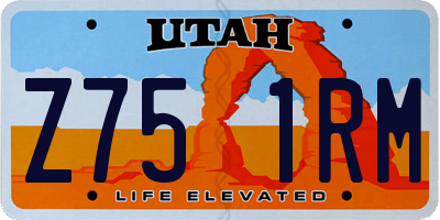 UT license plate Z751RM