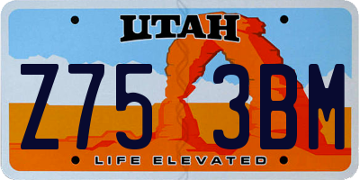 UT license plate Z753BM