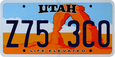 UT license plate Z753CO