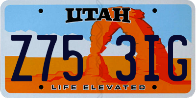 UT license plate Z753IG