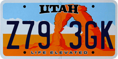 UT license plate Z793GK