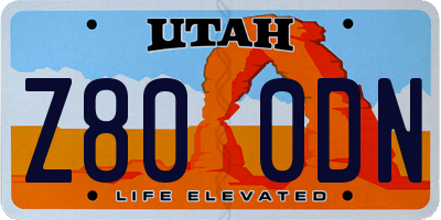 UT license plate Z800DN