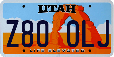 UT license plate Z800LJ