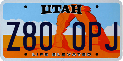 UT license plate Z800PJ
