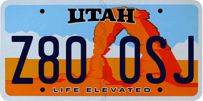 UT license plate Z800SJ