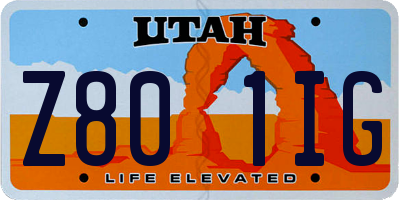 UT license plate Z801IG