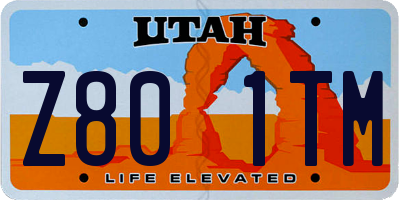 UT license plate Z801TM