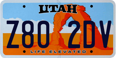 UT license plate Z802DV