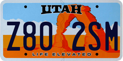 UT license plate Z802SM