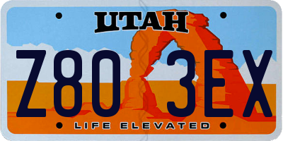 UT license plate Z803EX