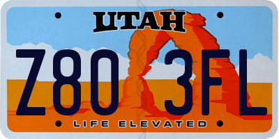 UT license plate Z803FL