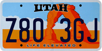 UT license plate Z803GJ